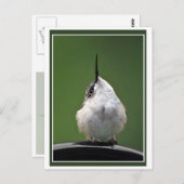 何だ？ ポストカード (正面/裏面)