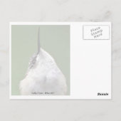 何だ？ ポストカード (裏面)