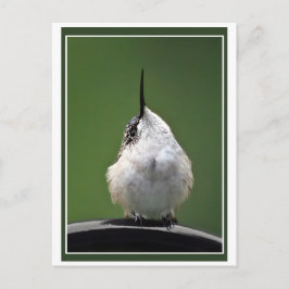 何だ？ ポストカード