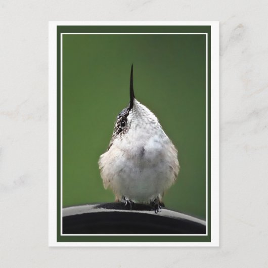 何だ？ ポストカード (正面)