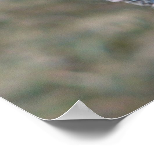 何だ?混乱したトルコ ポスター (角)