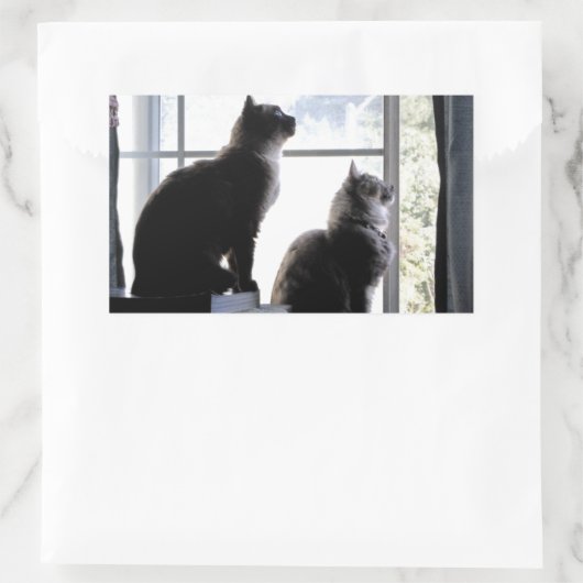 何だ？猫好き猫ちゃん写真 長方形シール (バッグ)