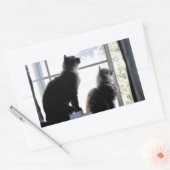 何だ?猫好き猫ちゃん写真 長方形シール (封筒)