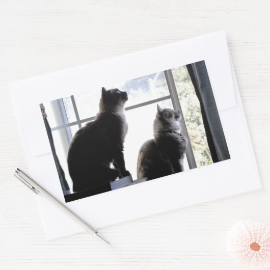 何だ?猫好き猫ちゃん写真 長方形シール (封筒)