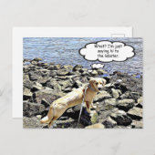 何だ?私は彼にロブスターと言う ポストカード (正面/裏面)