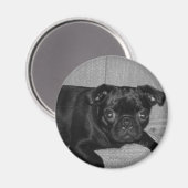 何だ？私は行わなかった！ マグネット (正面/裏面)