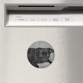 何だ？私は行わなかった！ マグネット (インサイチュ (食洗機))