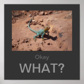 何だ？Collated Lizardのポスター ポスター (正面)