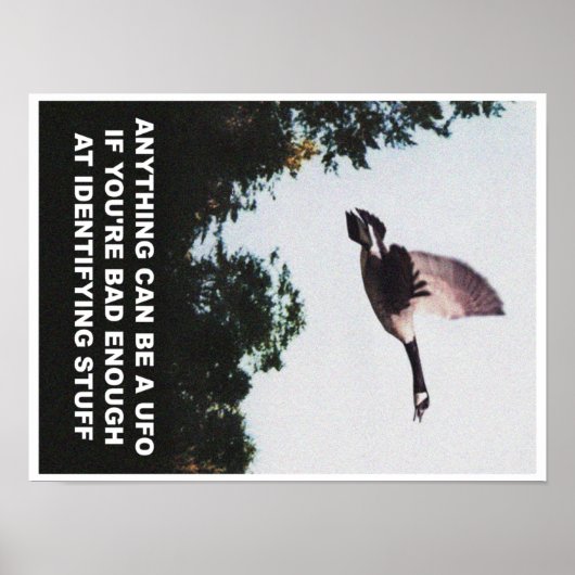 何でもUFOになることができる(小) ポスター (正面)