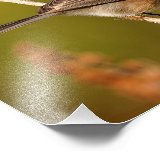 何というキャラクターだ雄ブシュティ フォトプリント (角)