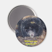 何という日だ-マグネット マグネット (正面/裏面)