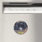 何という日だ-マグネット マグネット (インサイチュ (食洗機))