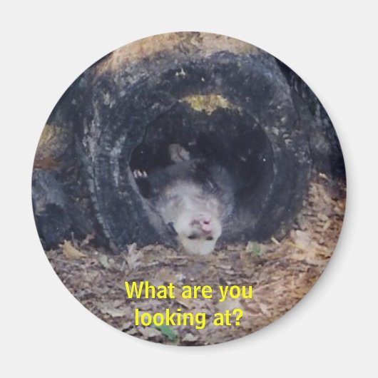 何という日だ-マグネット マグネット (正面)