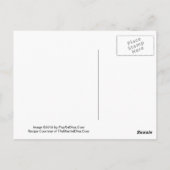 何という桃だ!春マルチニレシピカード葉書 ポストカード (裏面)