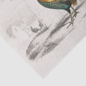 何という目立つ！丸王室の柄の鶏 薄葉紙 (詳細)