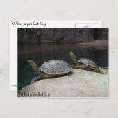 何と申し分のない日だ ポストカード (正面/裏面)