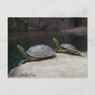 何と申し分のない日だ ポストカード