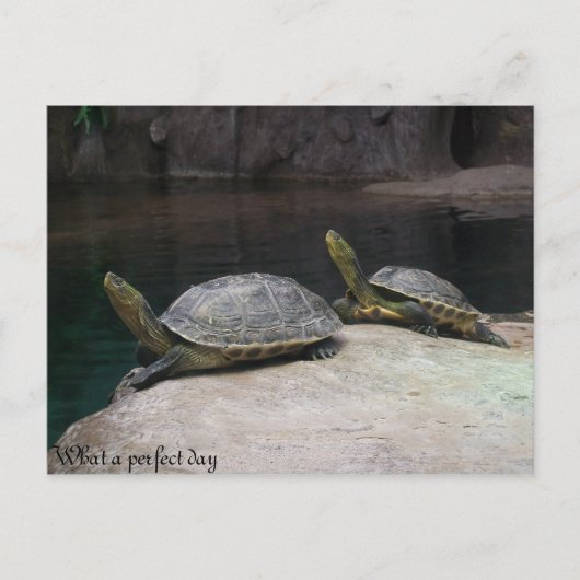 何と申し分のない日だ ポストカード (正面)