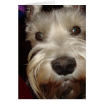 何に見ていますか。