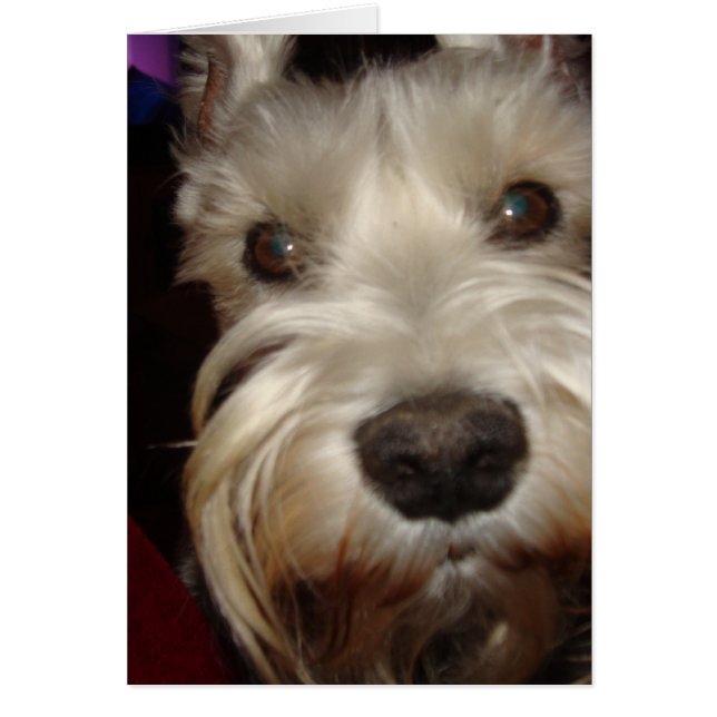 何に見ていますか。 (正面)