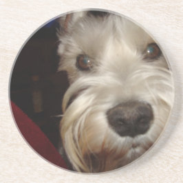 何に見ていますか。 コースター