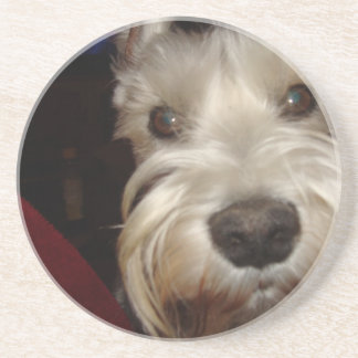 何に見ていますか。 コースター