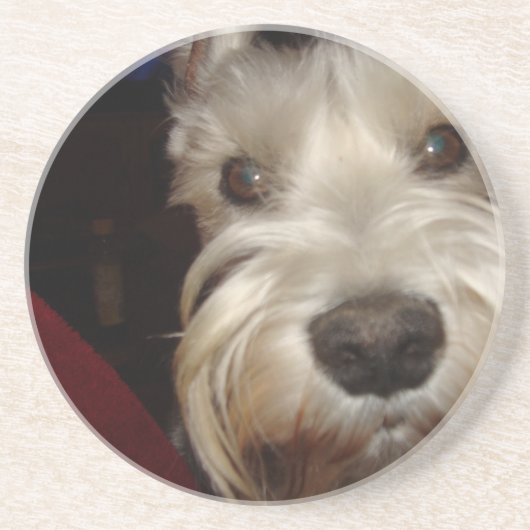 何に見ていますか。 コースター (正面)