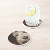 何に見ていますか。 コースター (側面)