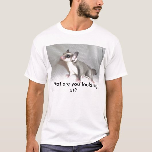 何に見ていますか。 Tシャツ (正面)