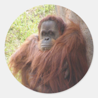 何のスマイルだ？ ラウンドシール