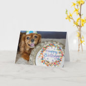 何のダイエット? カード (黄色い花)