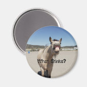 何の臭い？ マグネット (正面/裏面)