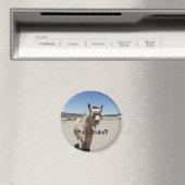 何の臭い？ マグネット (インサイチュ (食洗機))