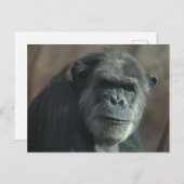 何の顔? ポストカード (正面/裏面)