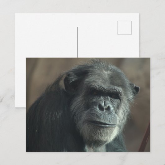 何の顔? ポストカード (正面/裏面)