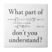 何の… ? タイル (正面)
