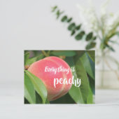 何もかもピーチ//桃 ポストカード (スタンド正面)