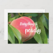 何もかもピーチ//桃 ポストカード (正面/裏面)