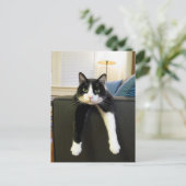 何もする必要がない ポストカード (スタンド正面)