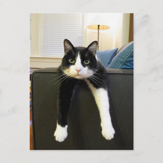 何もする必要がない ポストカード (正面)