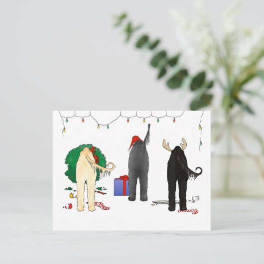 何もアフガニスタンのクリスマスを接合しません シーズンポストカード (スタンド正面)