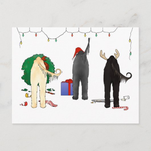 何もアフガニスタンのクリスマスを接合しません シーズンポストカード (正面)