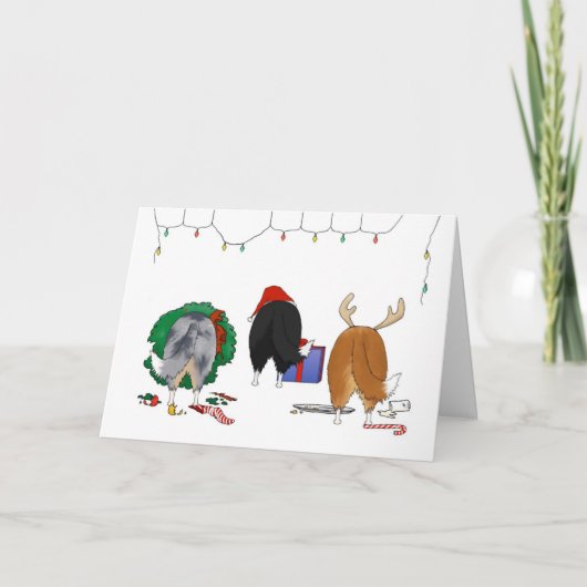 何もシェットランド・シープドッグのクリスマスを接合しません シーズンカード (正面)