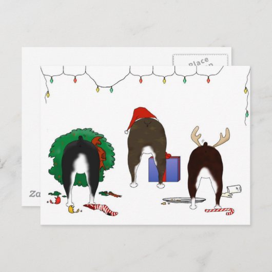 何もボストンテリアのクリスマスを接合しません シーズンポストカード (正面/裏面)