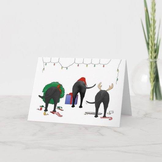 何も実験室のクリスマスを接合しません シーズンカード (正面)