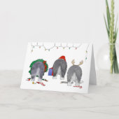 何も牧羊犬のクリスマスを接合しません シーズンカード (正面)
