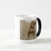 何も粋な姉妹、Piおよびラクダを好みません モーフィングマグカップ (正面右)