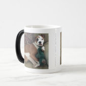 何も粋な姉妹、Piおよびラクダを好みません モーフィングマグカップ (正面左)