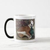 何も粋な姉妹、Piおよびラクダを好みません モーフィングマグカップ (左)