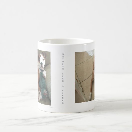 何も粋な姉妹、Piおよびラクダを好みません モーフィングマグカップ (中央)